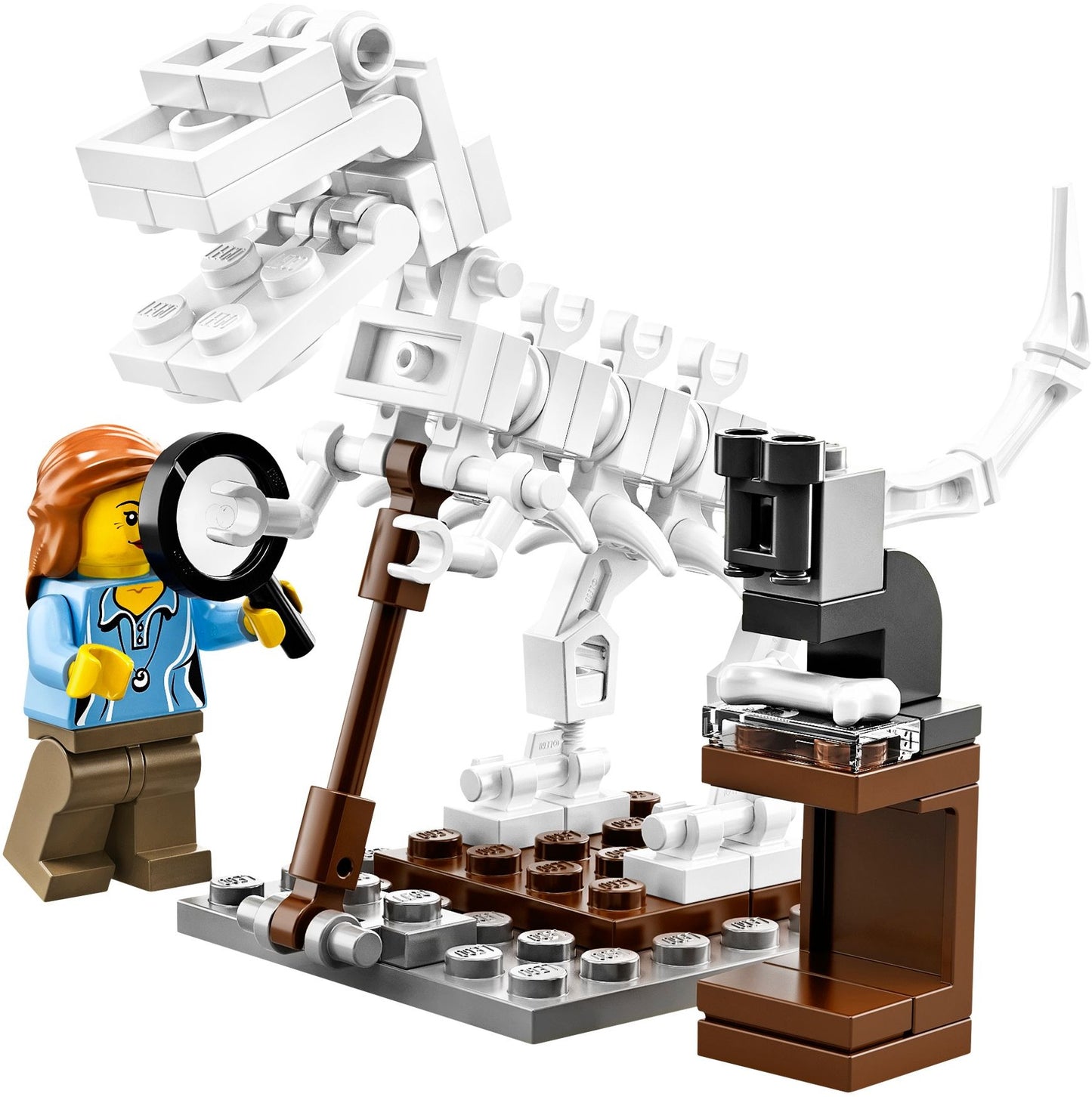 LEGO Ideas Forschungsinstitut (21110)