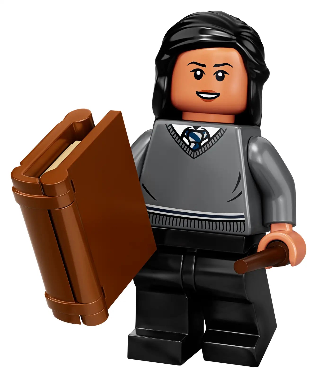 LEGO Harry Potter Zubehörset Die Schüler von Hogwarts™ (40419)