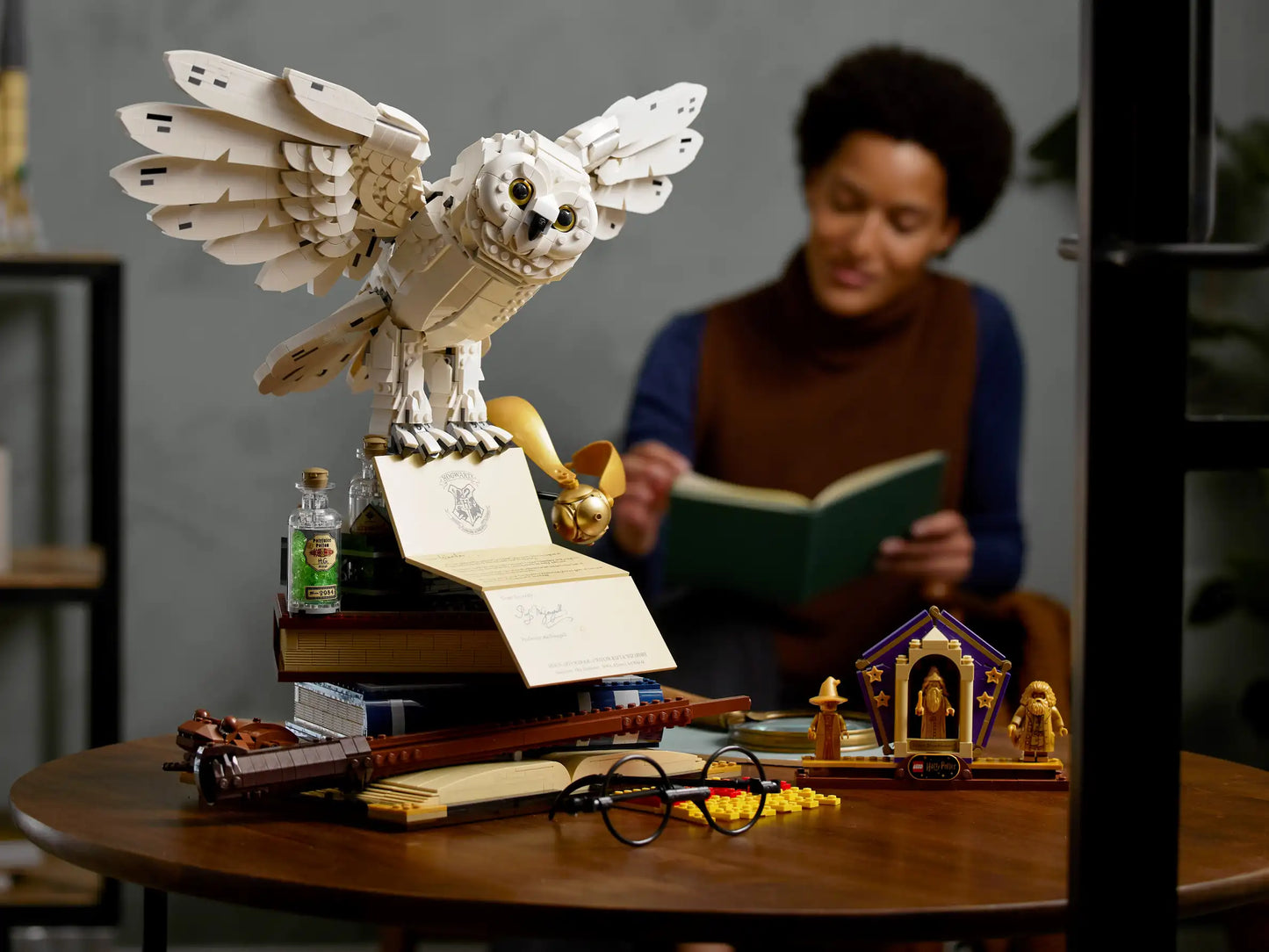 LEGO Harry Potter Hogwarts Ikonen Sammleredition (76391)