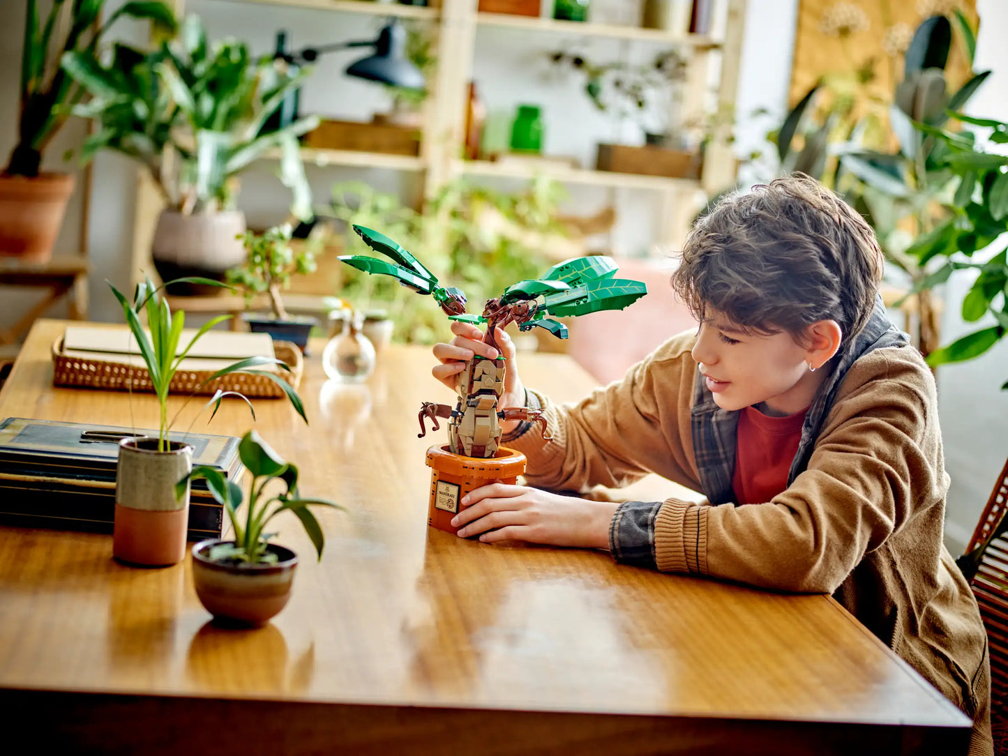 LEGO Harry Potter Zaubertrankpflanze: Alraune (76433)