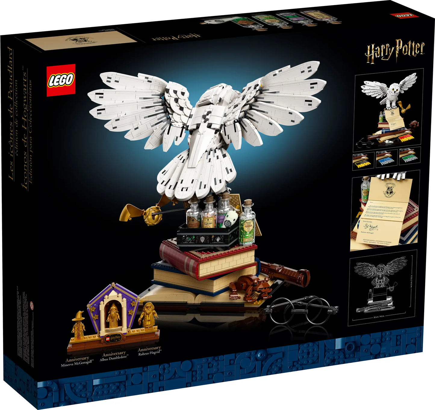LEGO Harry Potter Hogwarts Ikonen Sammleredition (76391)
