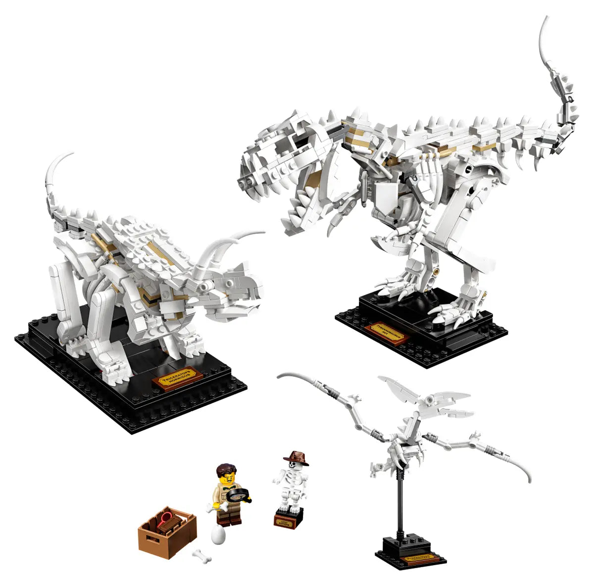 LEGO Ideas Dinosaurier-Fossilien (21320)