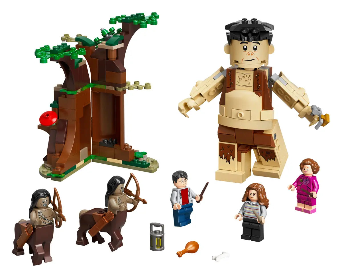 LEGO Harry Potter Der Verbotene Wald: Begegnung mit Umbridge (75967)