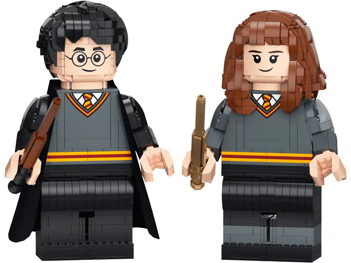 LEGO Harry Potter Harry Potter™ & Hermine Granger™ (76393)