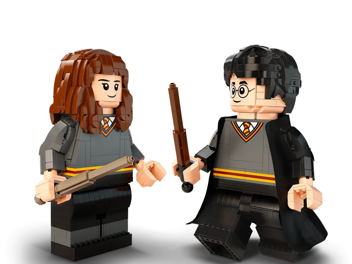 LEGO Harry Potter Harry Potter™ & Hermine Granger™ (76393)
