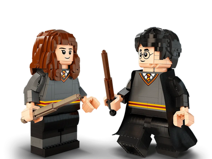 LEGO Harry Potter Harry Potter™ & Hermine Granger™ (76393)