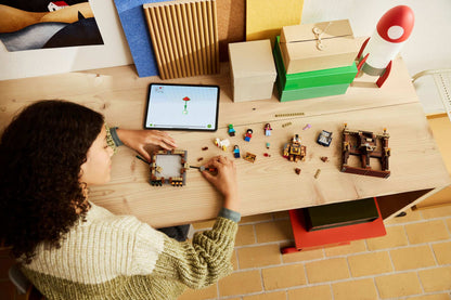 LEGO Minecraft Waldanwesen mit Boxring (21272)