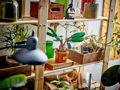 LEGO Harry Potter Zaubertrankpflanze: Alraune (76433)